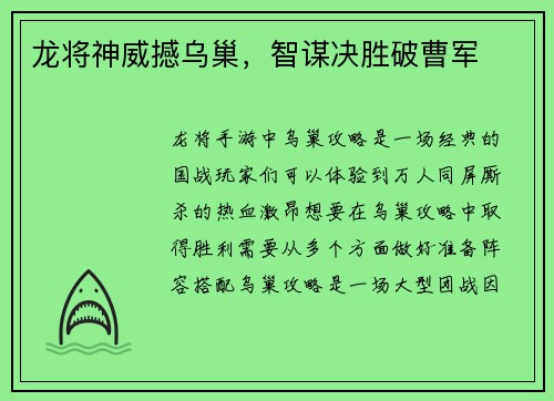 龙将神威撼乌巢，智谋决胜破曹军